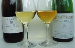 Bekende witte Franse wijnen