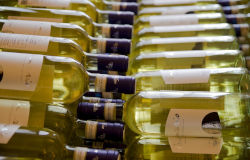 Bekende witte Italiaanse wijnen