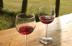 Bekende rode Italiaanse wijnen