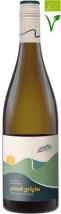 Corvezzo Pinot grigio “strade bianche” 2024 75 cl 120%