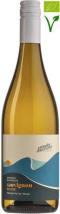 Corvezzo Sauvignon blanc “strade bianche” 2025 75 cl 12