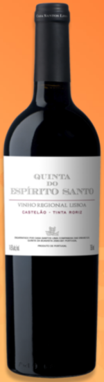 Santo