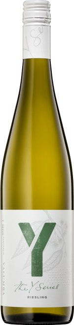 The y series riesling