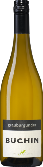 Weingut büchin grauburgunder trocken