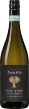 Antica viti pinot grigio delle venezie