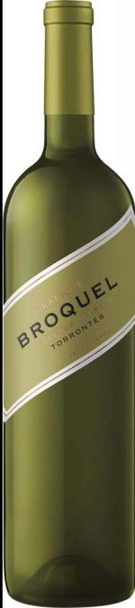 Broquel torrontés